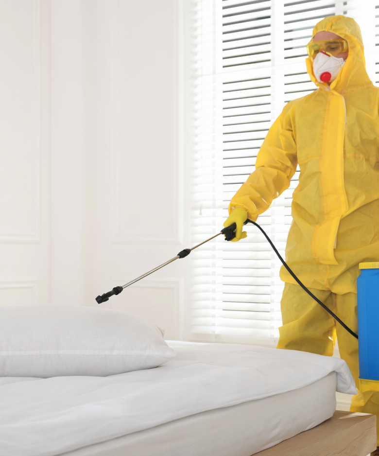 Professional Pest Control Team in Summertown